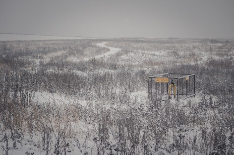 © Daniel Lebedev