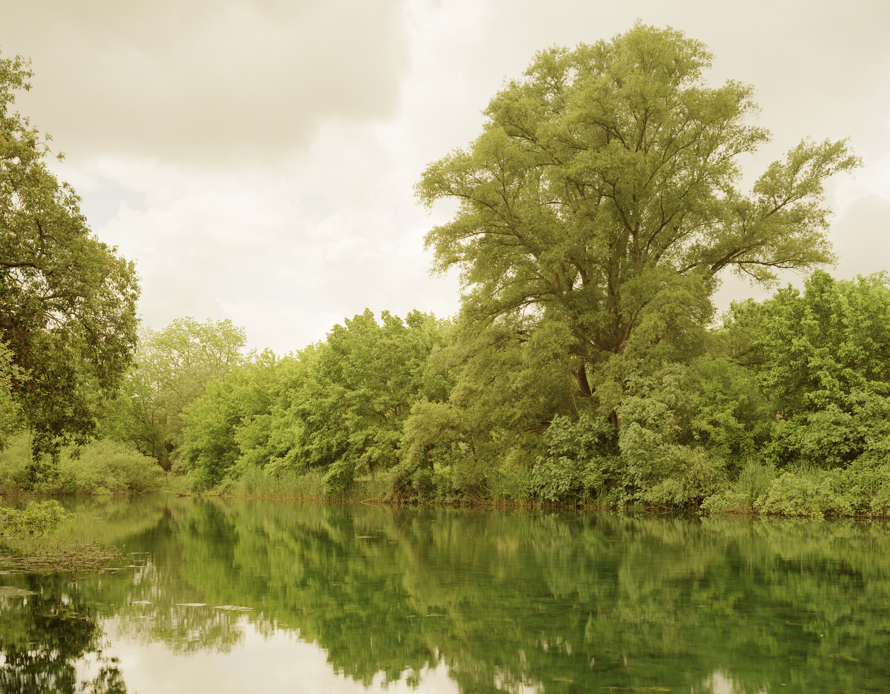Exhibition “die idee der landschaft” in frankfurt – the south edition