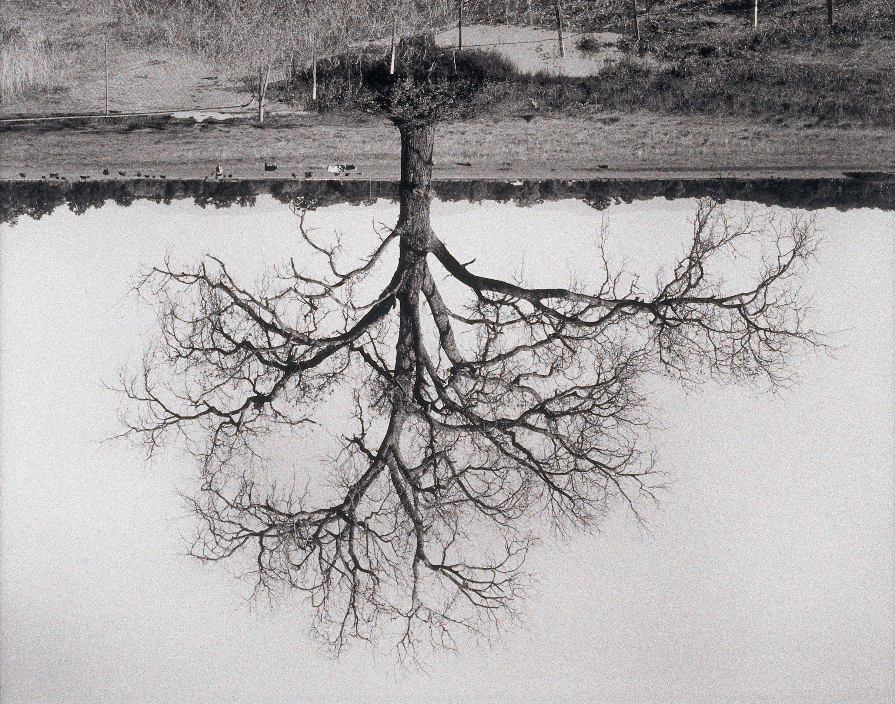 Exhibition “die idee der landschaft” in frankfurt – the south edition
